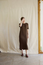 Load image into Gallery viewer, Short sleeved silk dress - brown