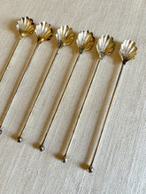 Load image into Gallery viewer, Stirrer, shell
