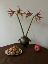 Load image into Gallery viewer, Decorative vase with handles
