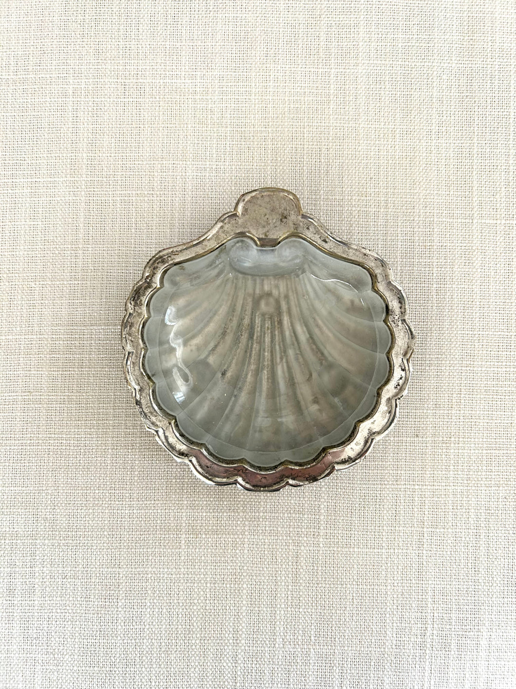 Butter Dish, Shell