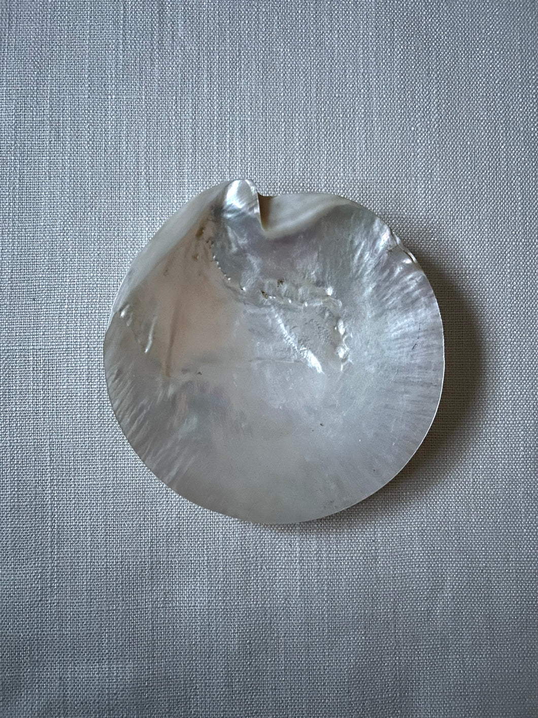 Tray, mother-of-pearl