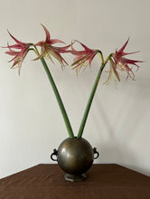 Load image into Gallery viewer, Decorative vase with handles
