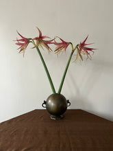 Load image into Gallery viewer, Decorative vase with handles
