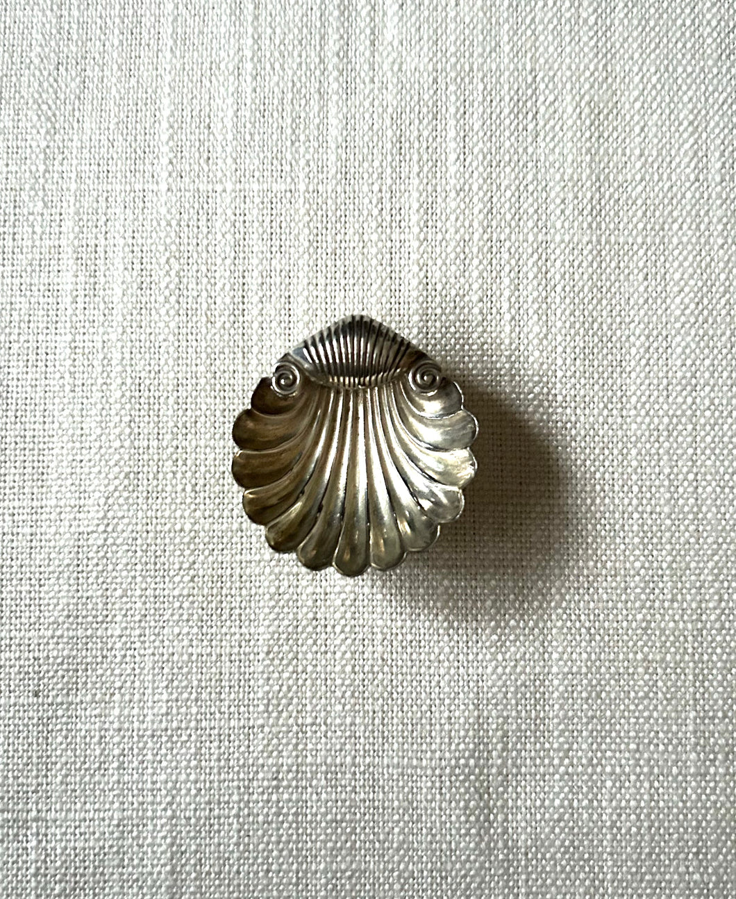 Salt tray, shell